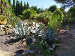 Jardin Exotique de Ponteilla, près de Perpignan