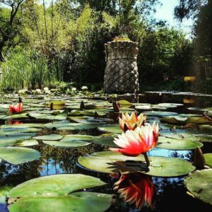 Jardin Exotique de Ponteilla, près de Perpignan