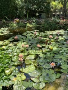 Jardin Exotique de Ponteilla, près de Perpignan
