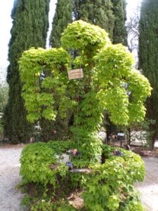 Jardin Exotique de Ponteilla, près de Perpignan