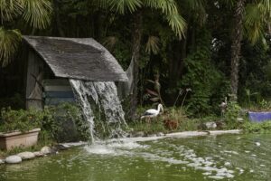 Jardin Exotique de Ponteilla, près de Perpignan