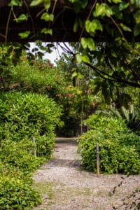 Jardin Exotique de Ponteilla, près de Perpignan
