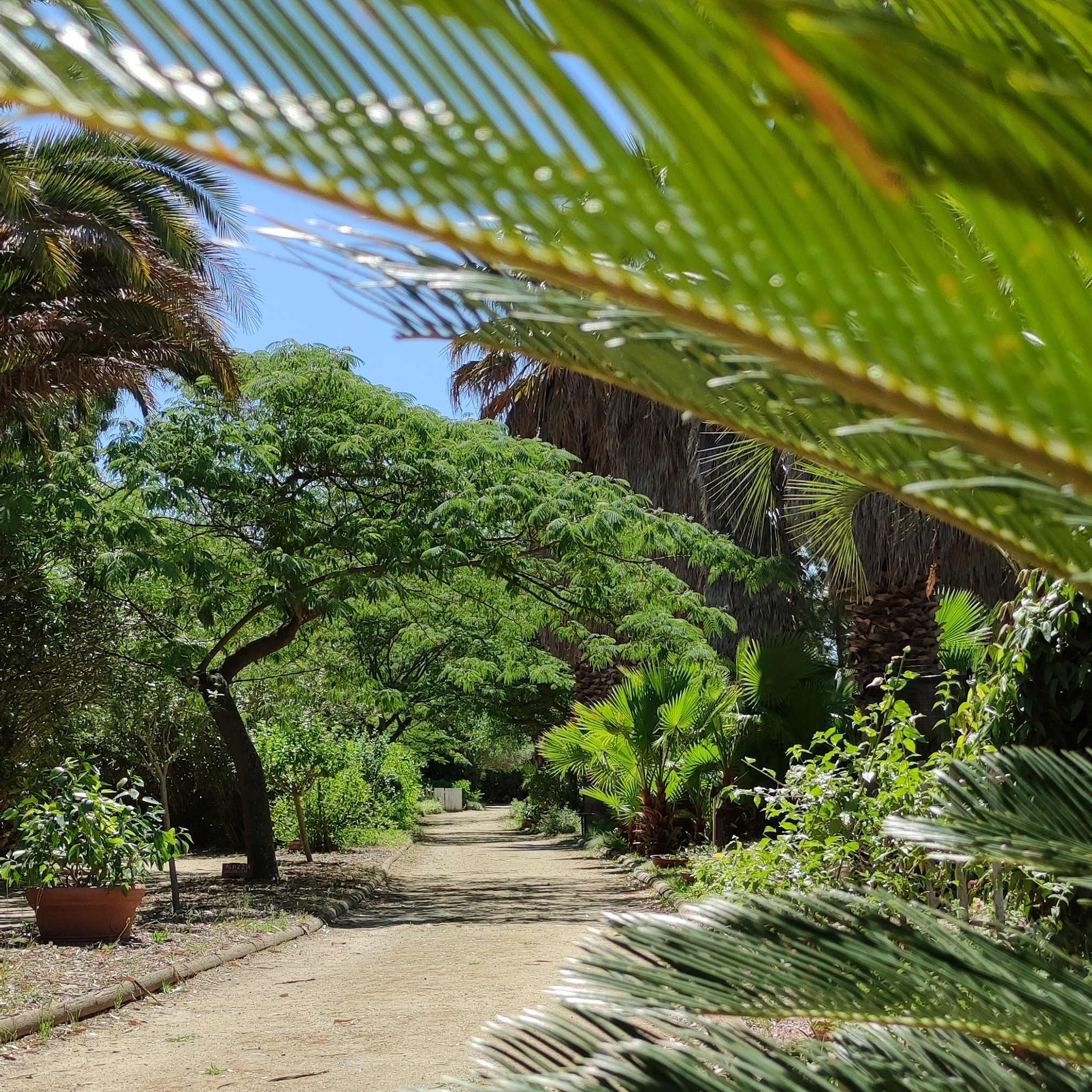 Jardin Exotique de Ponteilla, près de Perpignan