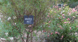 Sentez-moi Jardin Exotique de Ponteilla