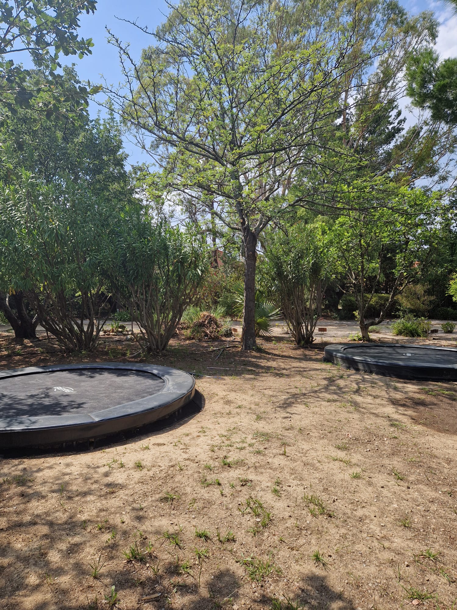 Trampolines Jardin Exotique de Ponteilla