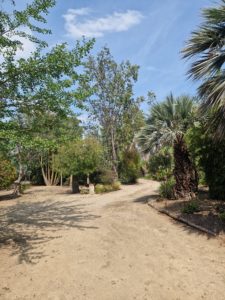 Allées Jardin Exotique de Ponteilla