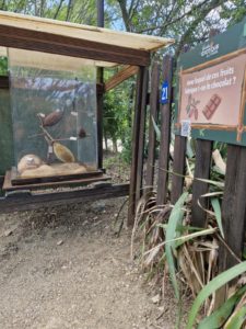 Parcours de l'explorateur Jardin Exotique de Ponteilla