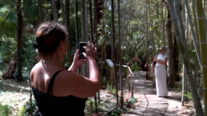 Espace bambous Jardin Exotique de Ponteilla
