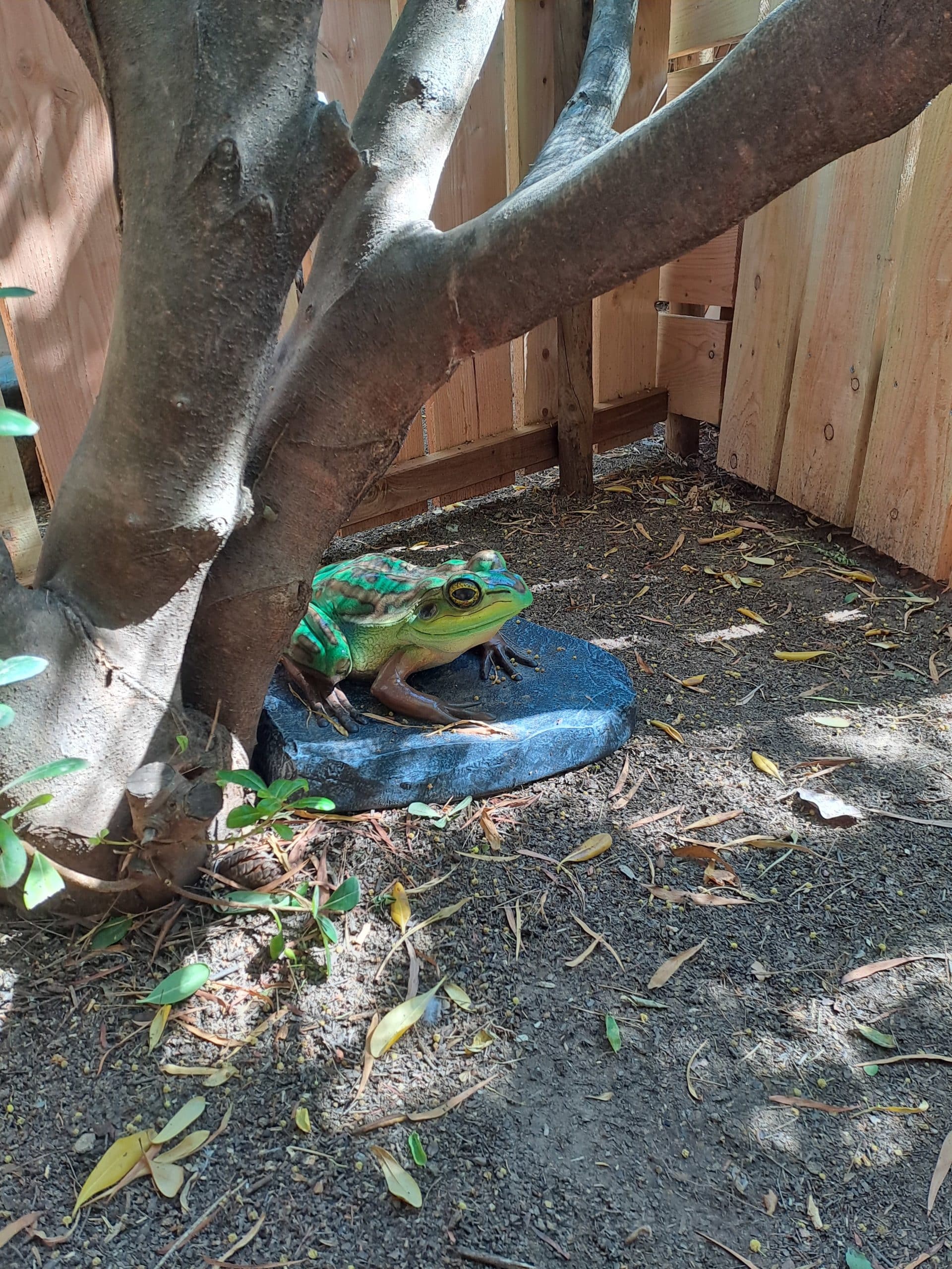 Mini aventuriers Jardin Exotique de Ponteilla