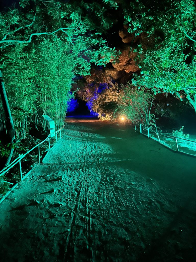 Visite nocturne du Jardin Exotique de Ponteilla