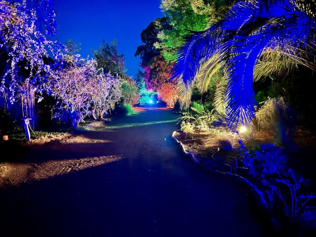 Visite nocturne du Jardin Exotique de Ponteilla