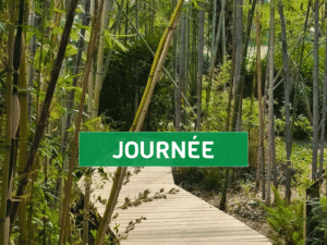 Billet d'entrée JOURNÉE (non daté)