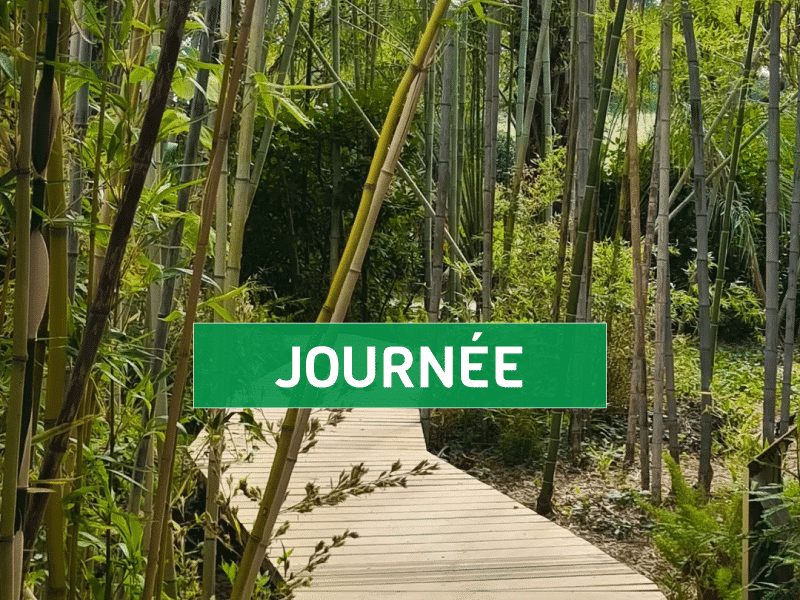 Billet d'entrée JOURNÉE (non daté)